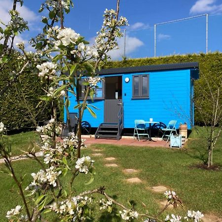 Atlantic Way Shepherd Hut Moville Exterior photo