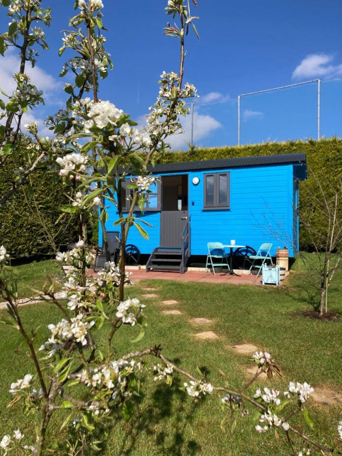 Atlantic Way Shepherd Hut Moville Exterior photo